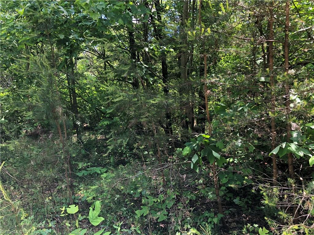 52 North Rd Pinnacle Nc 27043 Road Pinnacle, NC 27043 - Photo 16 of 20