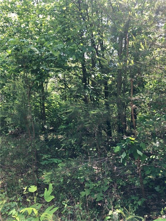 52 North Rd Pinnacle Nc 27043 Road Pinnacle, NC 27043 - Photo 17 of 20