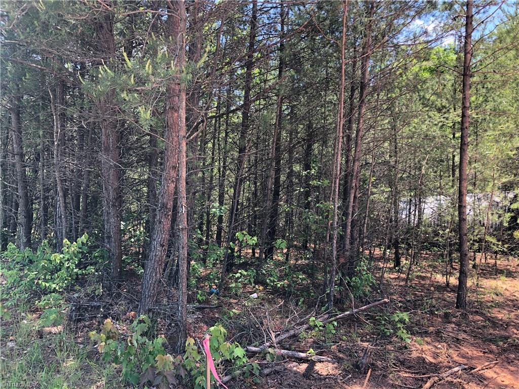 52 North Rd Pinnacle Nc 27043 Road Pinnacle, NC 27043 - Photo 18 of 20