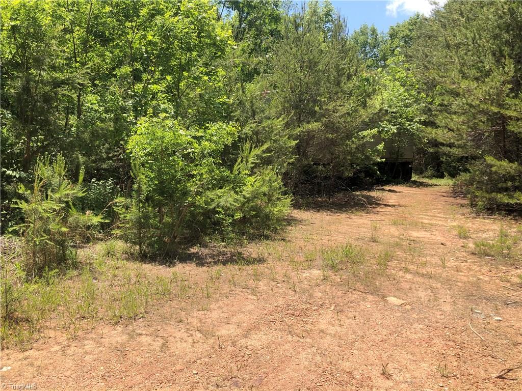 52 North Rd Pinnacle Nc 27043 Road Pinnacle, NC 27043 - Photo 9 of 20