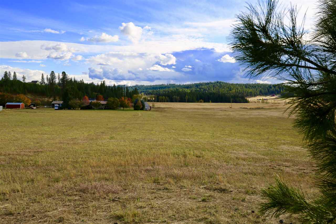 22908 North Dunn Road Chattaroy, WA 99003 - Photo 14 of 28