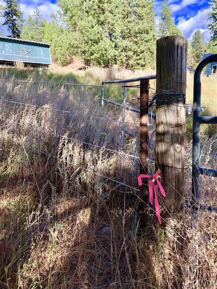 22908 North Dunn Road Chattaroy, WA 99003 - Photo 15 of 28