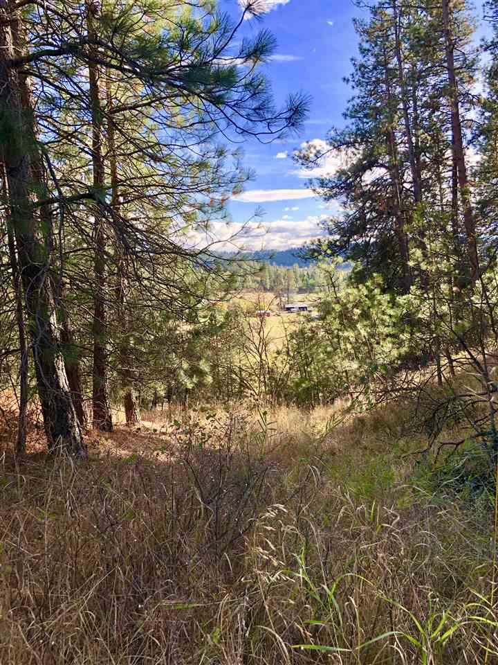 22908 North Dunn Road Chattaroy, WA 99003 - Photo 18 of 28