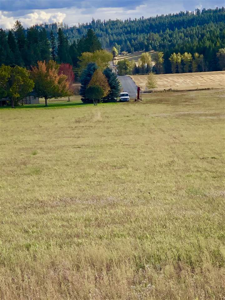 22908 North Dunn Road Chattaroy, WA 99003 - Photo 21 of 28