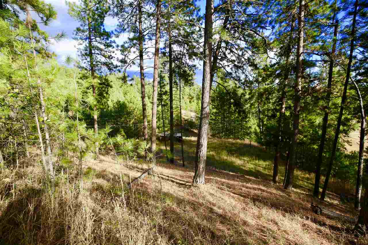 22908 North Dunn Road Chattaroy, WA 99003 - Photo 23 of 28
