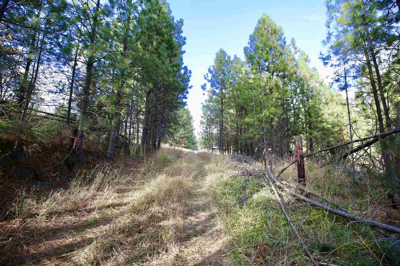 22908 North Dunn Road Chattaroy, WA 99003 - Photo 24 of 28