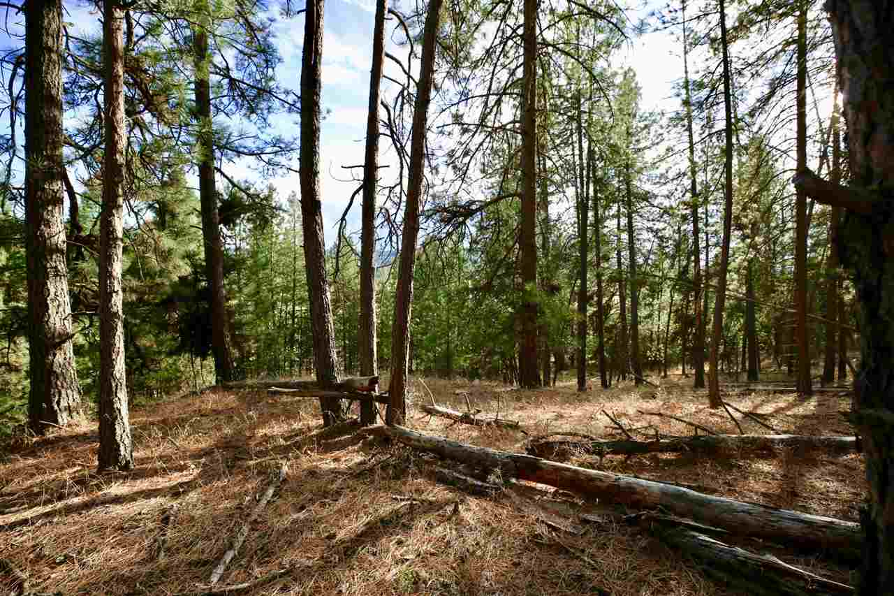 22908 North Dunn Road Chattaroy, WA 99003 - Photo 26 of 28