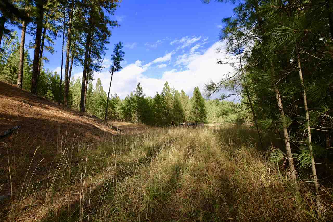 22908 North Dunn Road Chattaroy, WA 99003 - Photo 27 of 28