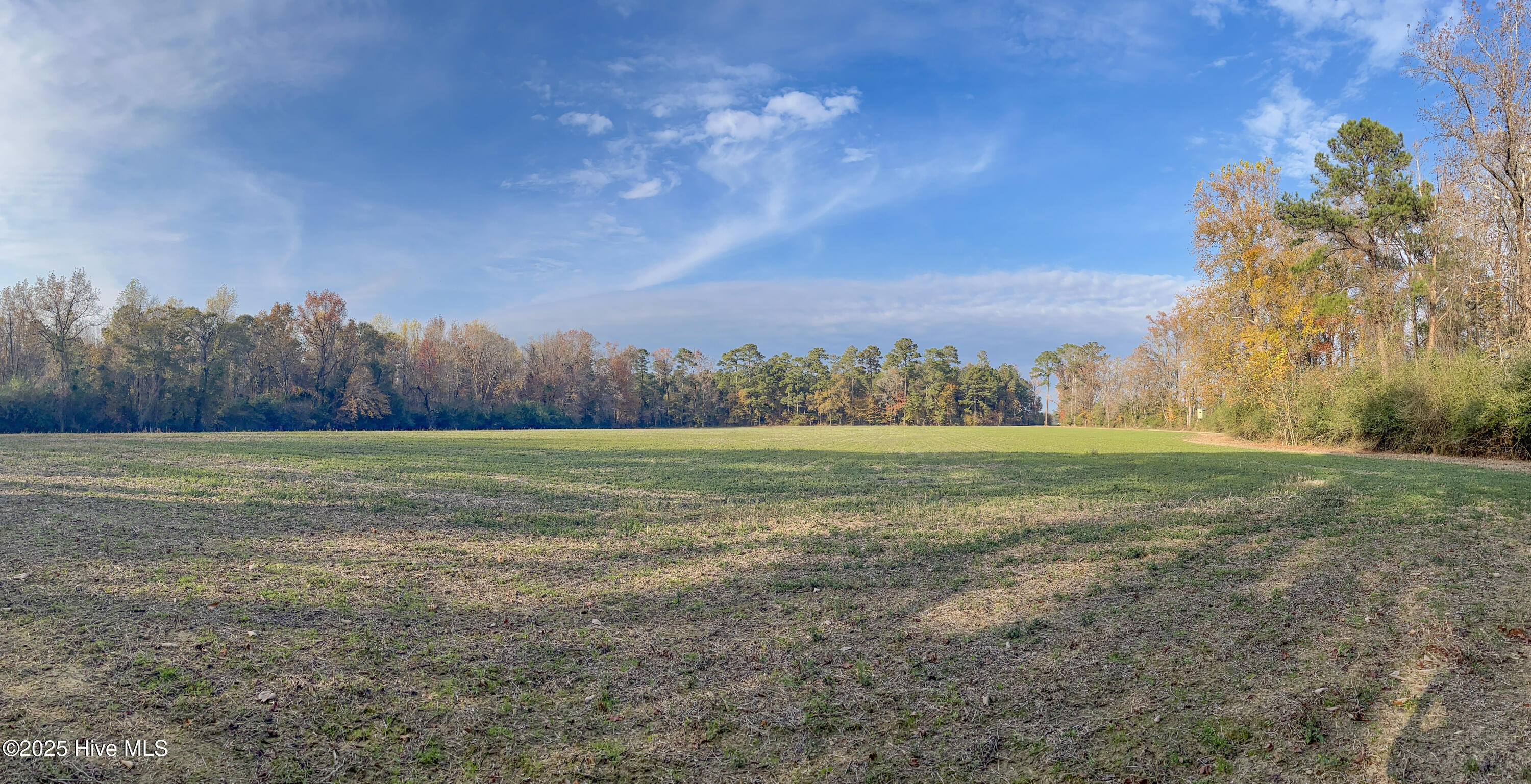 41.5-acres High School Road Teachey, NC 28464 - Photo 16 of 27 17