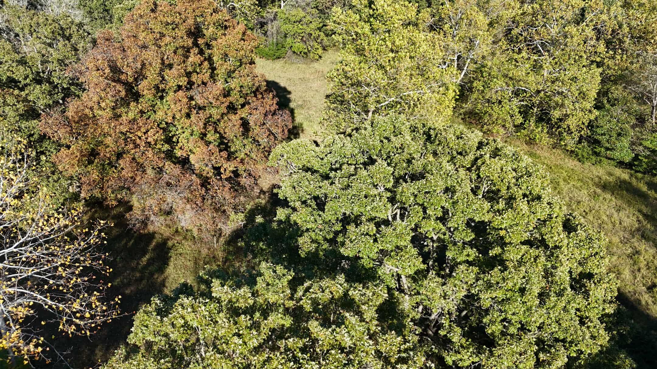 19180 East 920th Road Humansville, MO 65674 - Photo 24 of 61 3ea35a97-6f8f-486f-9ff9-84c734da4a85