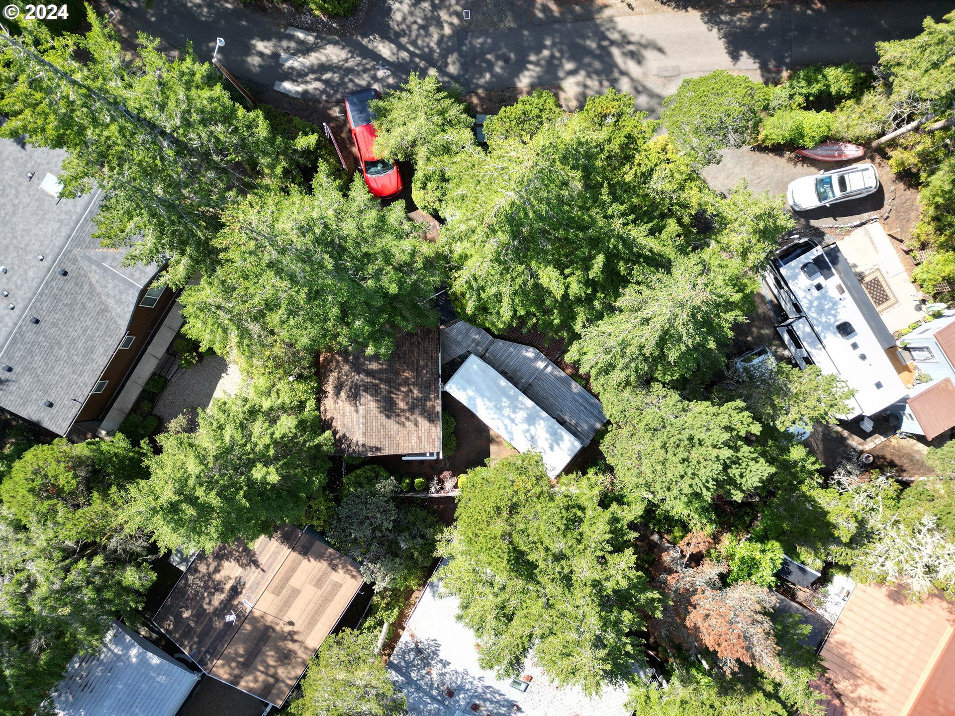 246 Horseshoe Bend Florence, OR 97439 - Photo 21 of 33 a picture of flowers