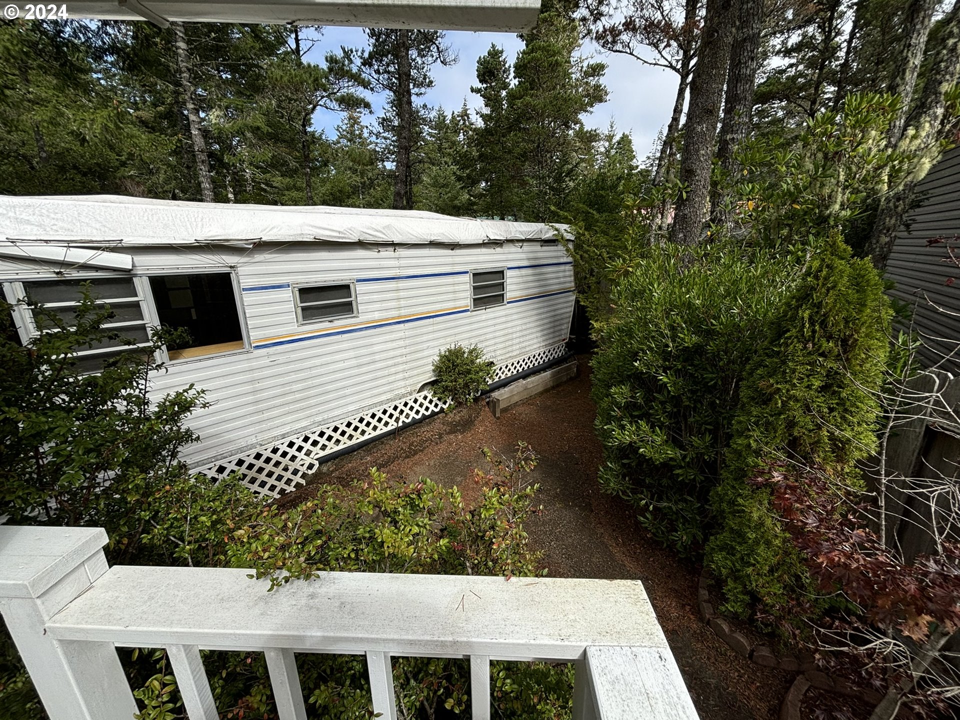 246 Horseshoe Bend Florence, OR 97439 - Photo 6 of 33 a view of a yard with plants