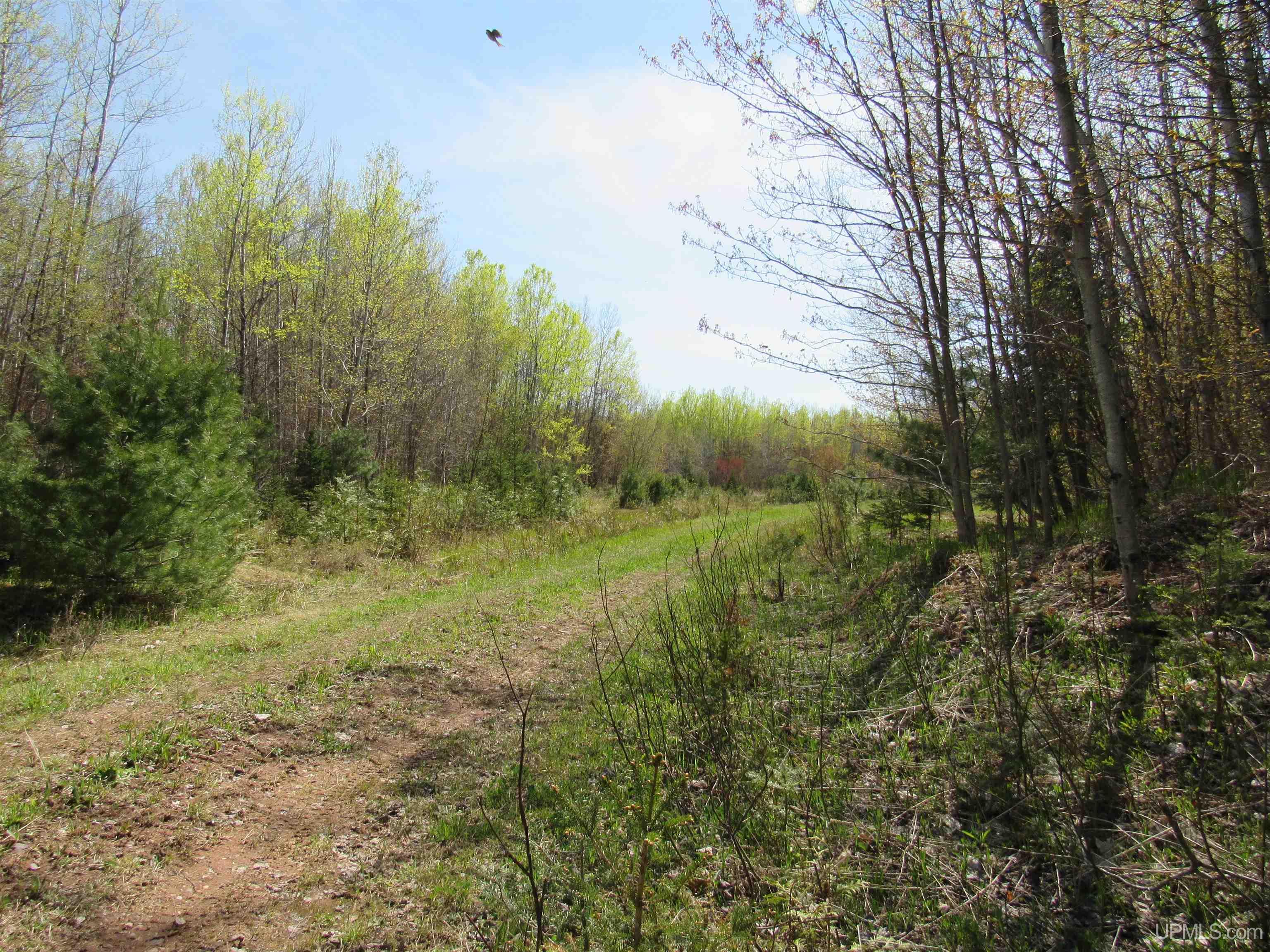 Tbd Off Rice Lake Road, Unit NO DRIVE BYS Lake Linden, MI 49945 - Photo 10 of 40