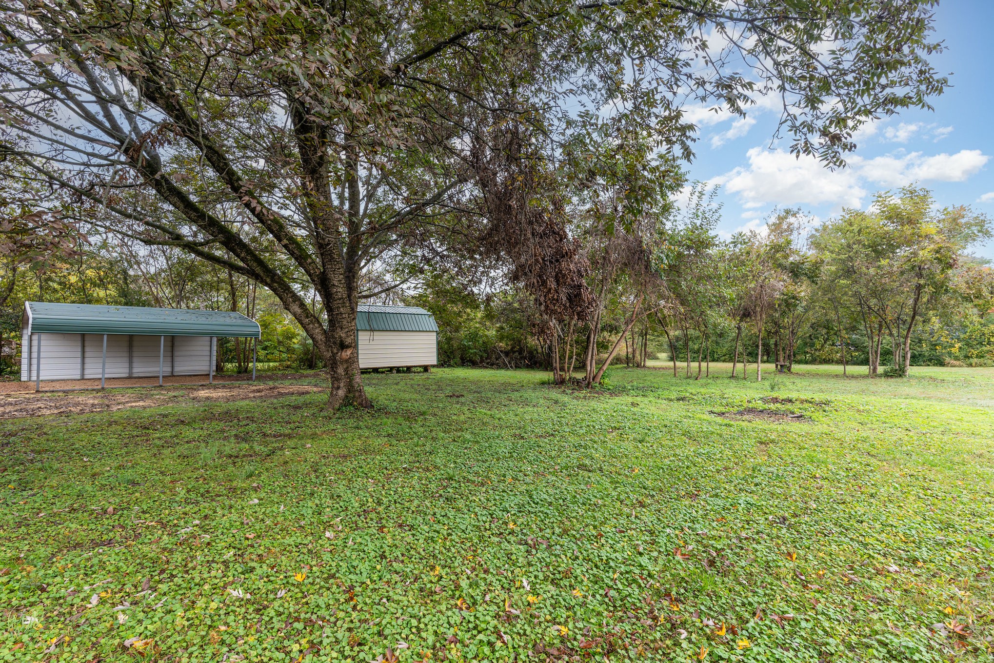 1307 Atlas Street Murfreesboro, TN 37130 - Photo 22 of 24 a view of a house with a backyard