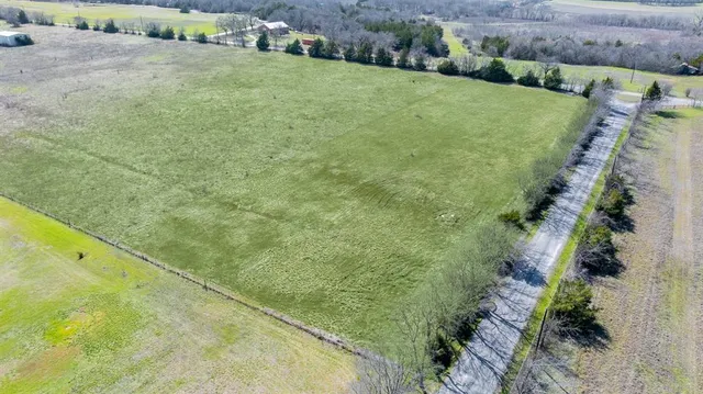 a view of a big yard with potted plants