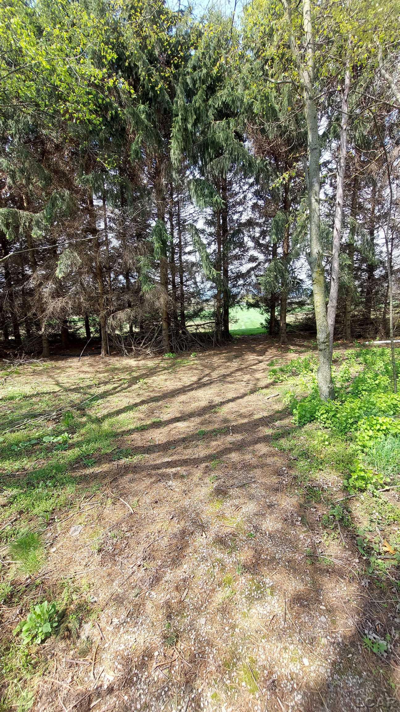 7665 Centennial Road Britton, MI 49229 - Photo 9 of 55