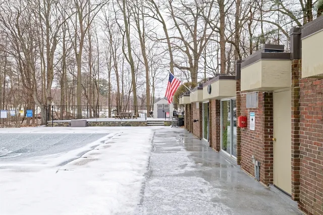 a view of a park with trees