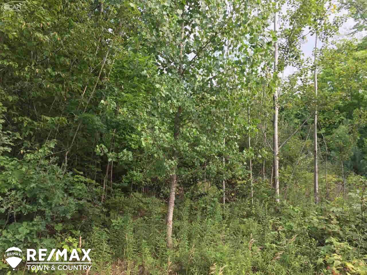 0 Stockwell Road Harrison, MI 48625 - Photo 5 of 8