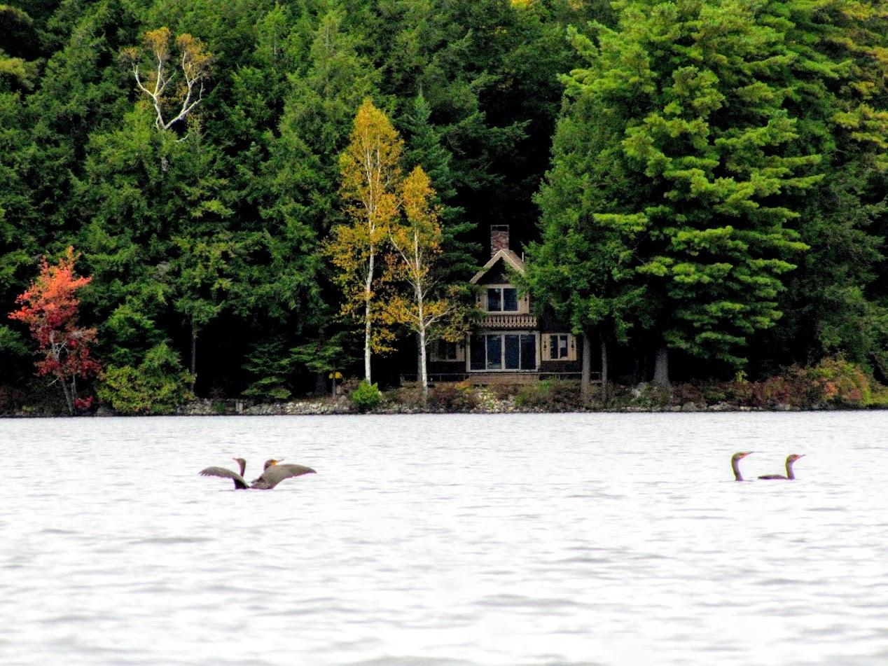294 Timber Point Road Belgrade, ME 04917 - Photo 2 of 46 Timber 67