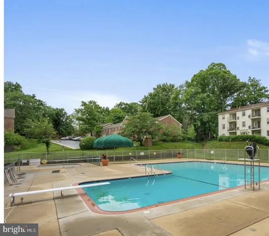 a view of a park with large trees