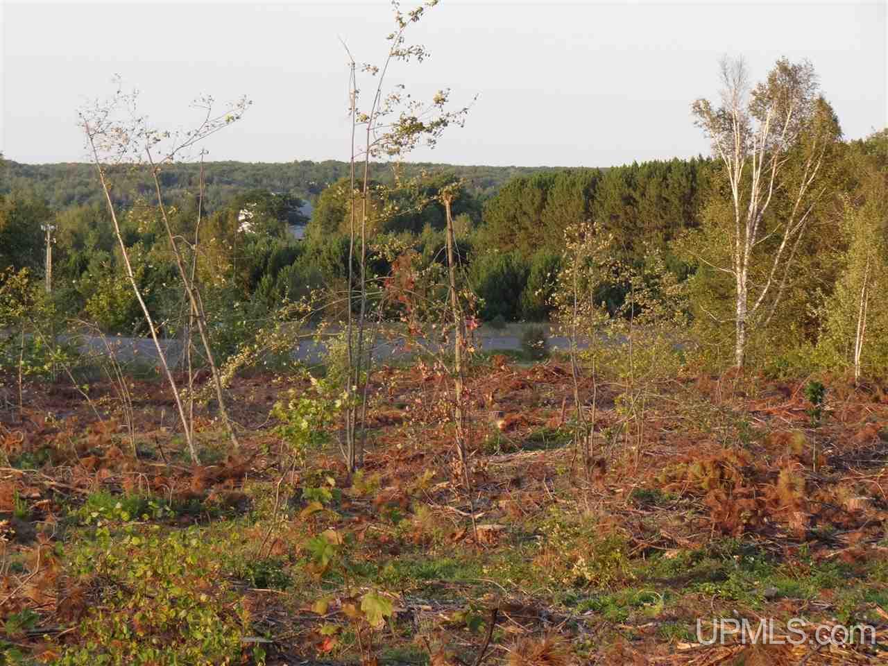 Tbd Liminga Road Atlantic Mine, MI 49905 - Photo 14 of 15 Gallery Image 14