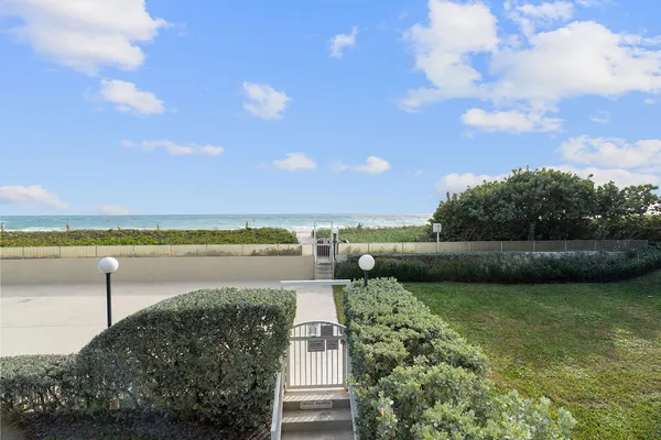 a view of a yard with plants and a tree