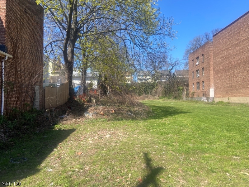 1594 Maple Avenue Hillside, NJ 07205 - Photo 3 of 7 a view of yard with tree