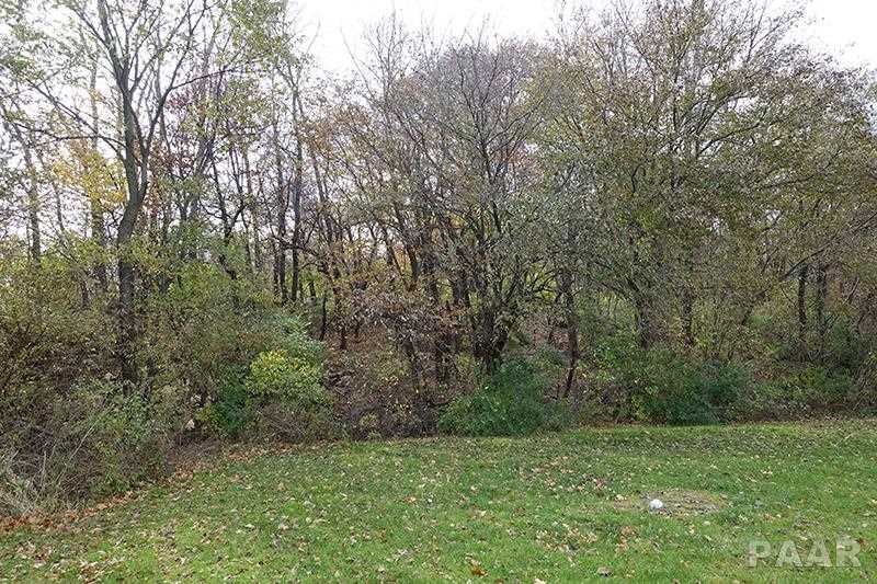 113 Sheffield Road Groveland, IL 61535 - Photo 34 of 36