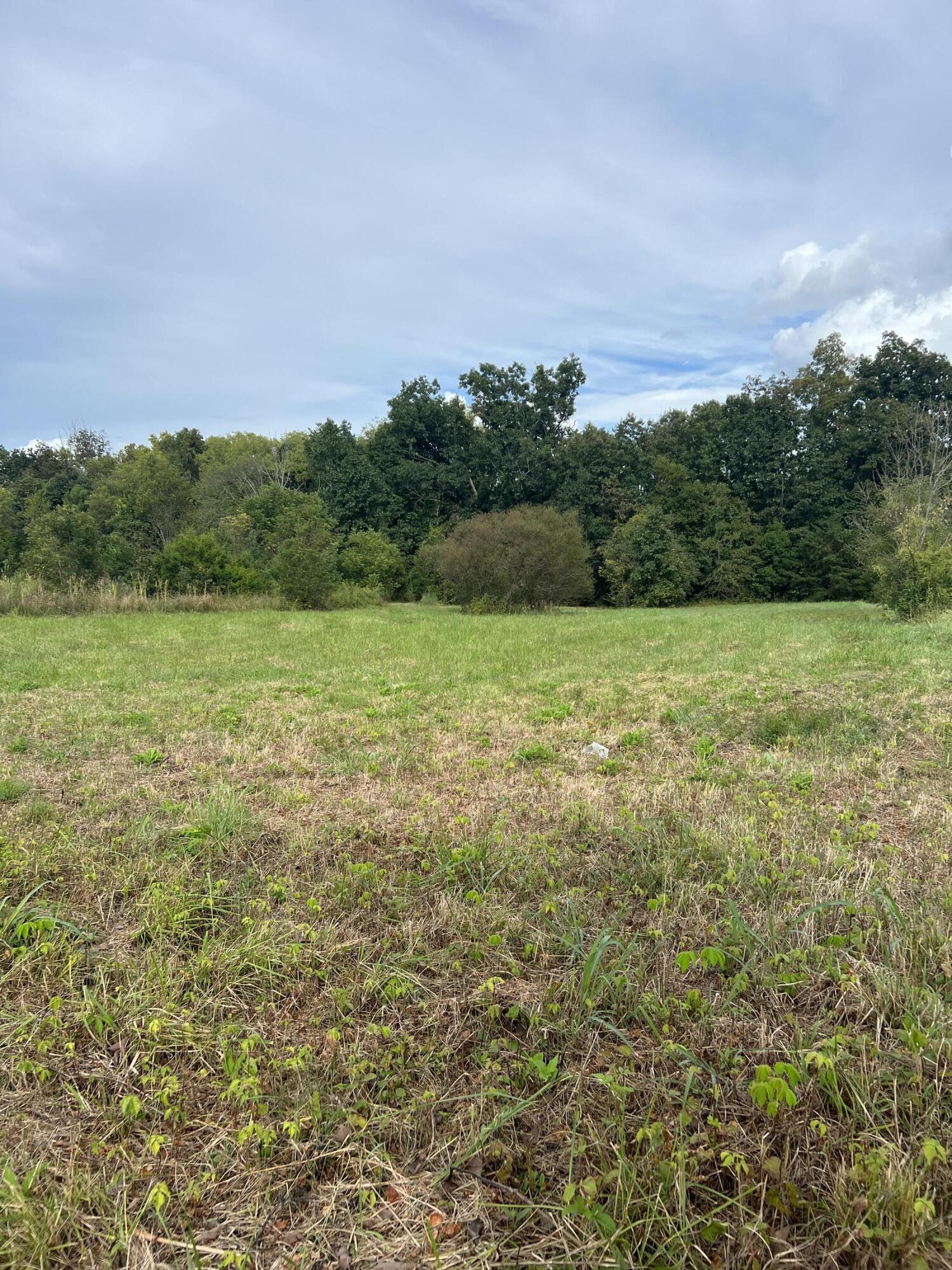 Tbd Delta Valley Road, Unit 3 Greeneville, TN 37745 - Photo 3 of 3 IMG_7669