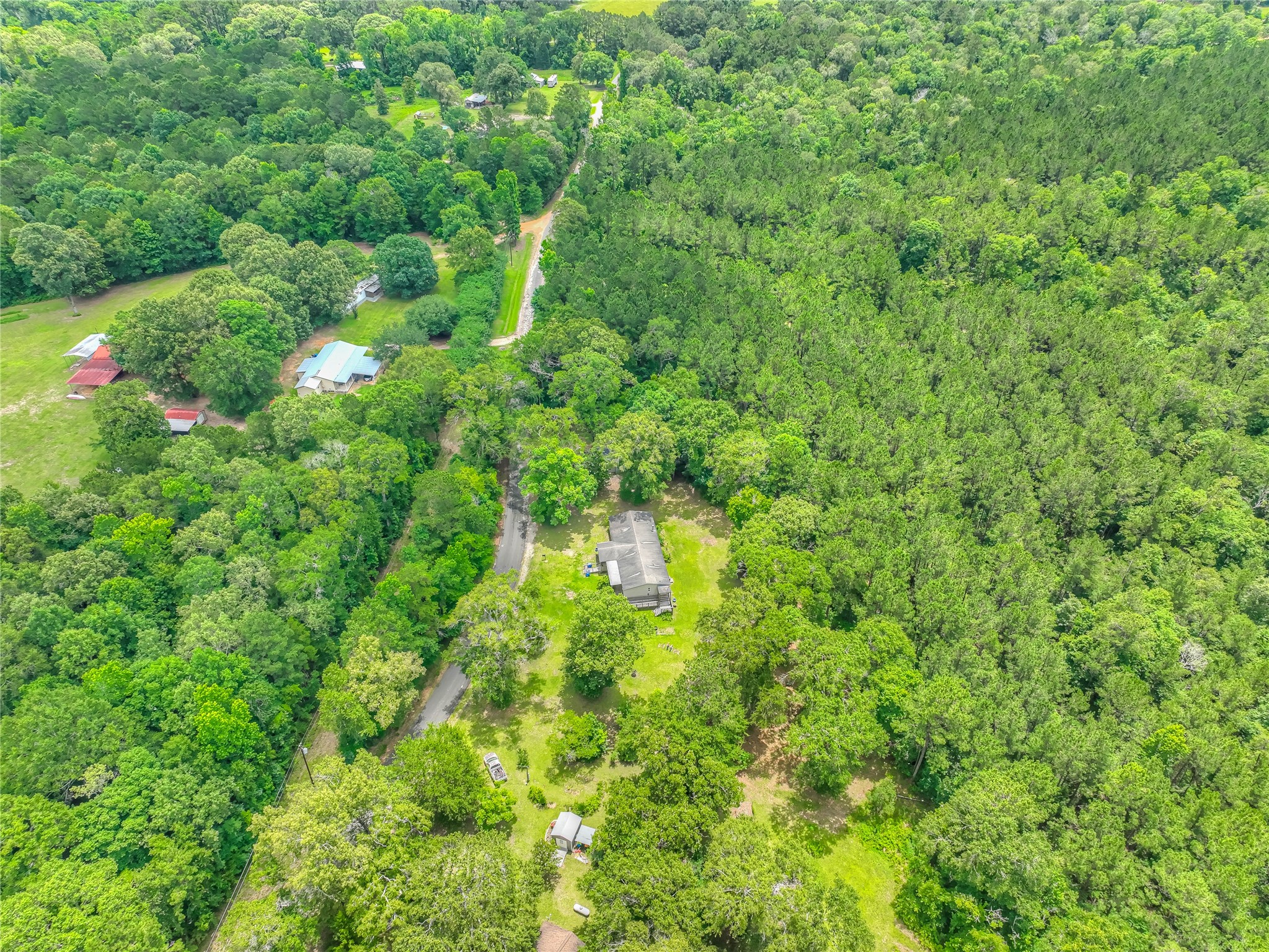 657 Parrish Road Livingston, TX 77351 - Photo 40 of 47 a view of a lush green forest