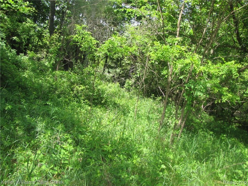 910 Frick Road Leonard, MI 48367 - Photo 17 of 38