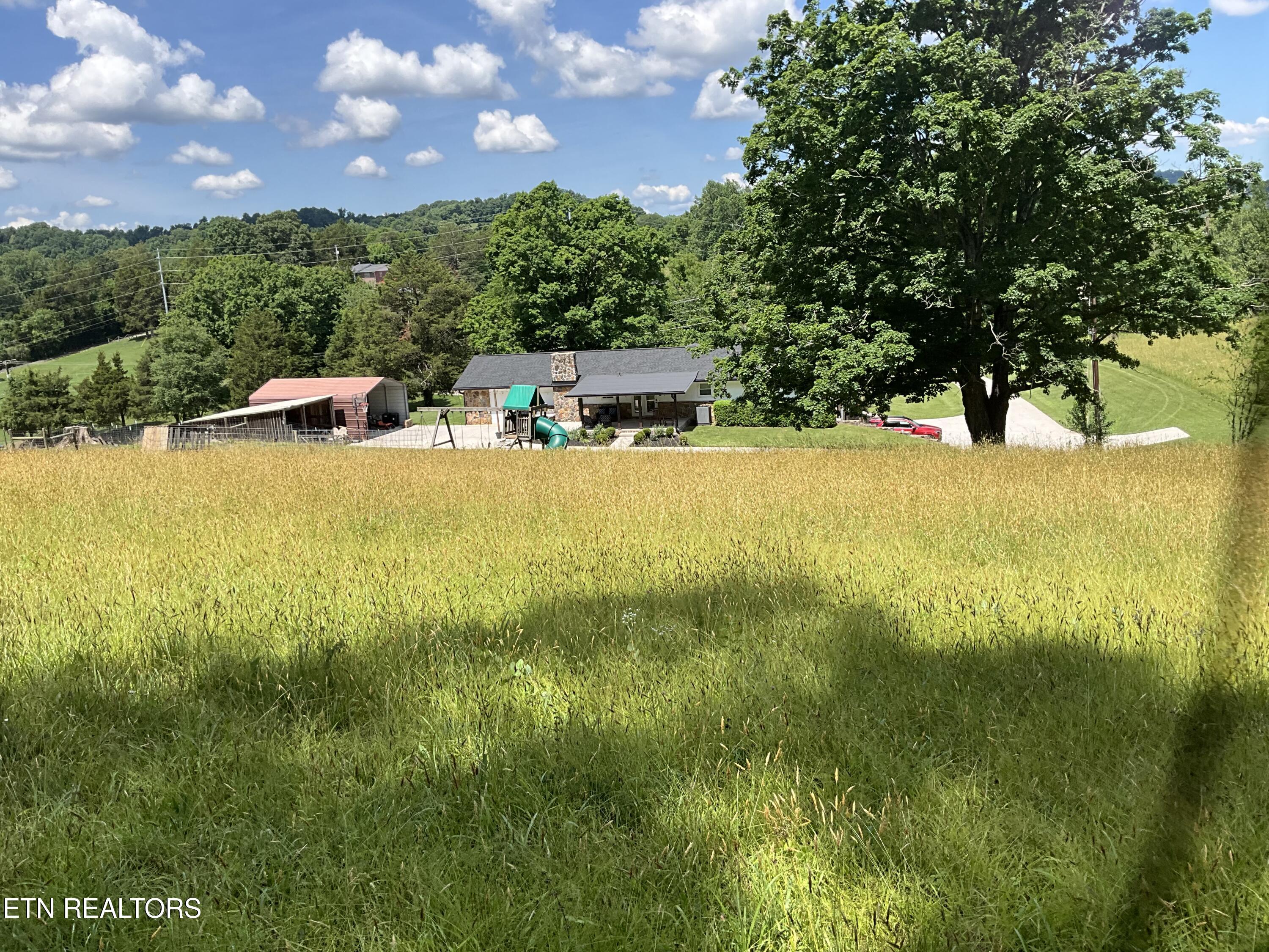1295 Ailor Gap Road Luttrell, TN 37779 - Photo 38 of 40 IMG_1610