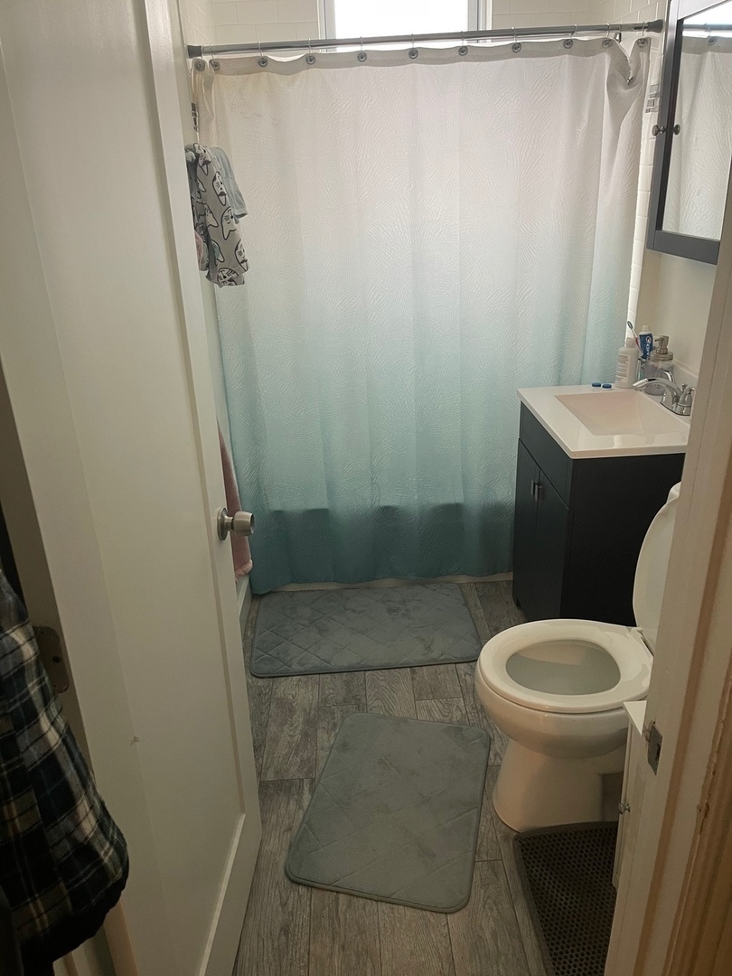 730 West Roscoe Street, Unit 2S Chicago, IL 60657 - Photo 14 of 15 a bathroom with a sink and toilet