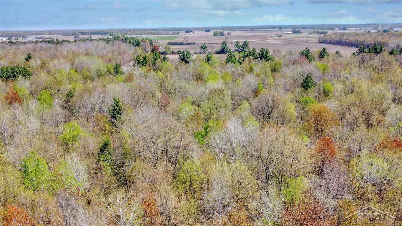 4157 South Badour Road Hemlock, MI 48626 - Photo 62 of 66