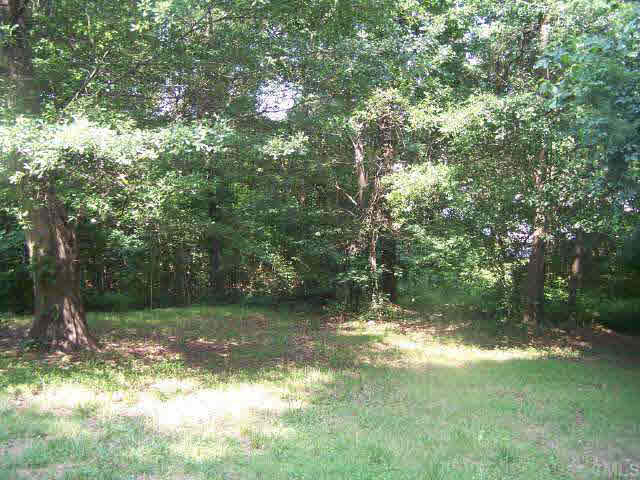 2717 Wyncote Drive Raleigh, NC 27603 - Photo 6 of 9 Other