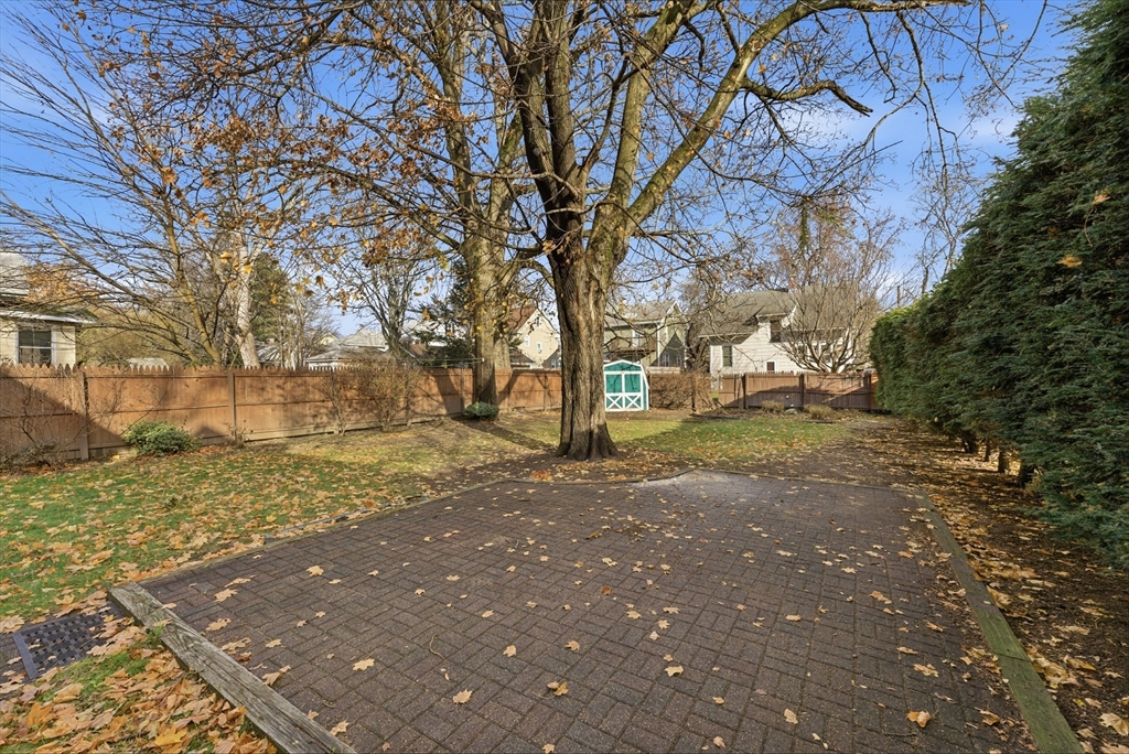 63 Webber Street Springfield, MA 01108 - Photo 35 of 40 a view of a yard with plants and trees
