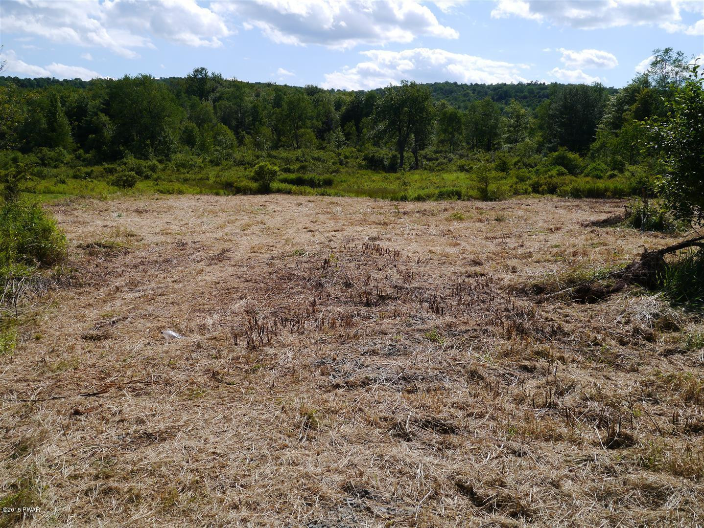 Beaverhollow Road Starrucca, PA 18462 - Photo 2 of 9