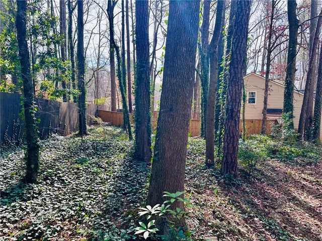 a view of a back yard