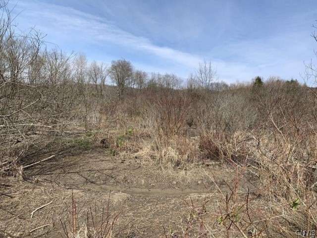 0 Ivory Road Frewsburg, NY 14738 - Photo 1 of 1