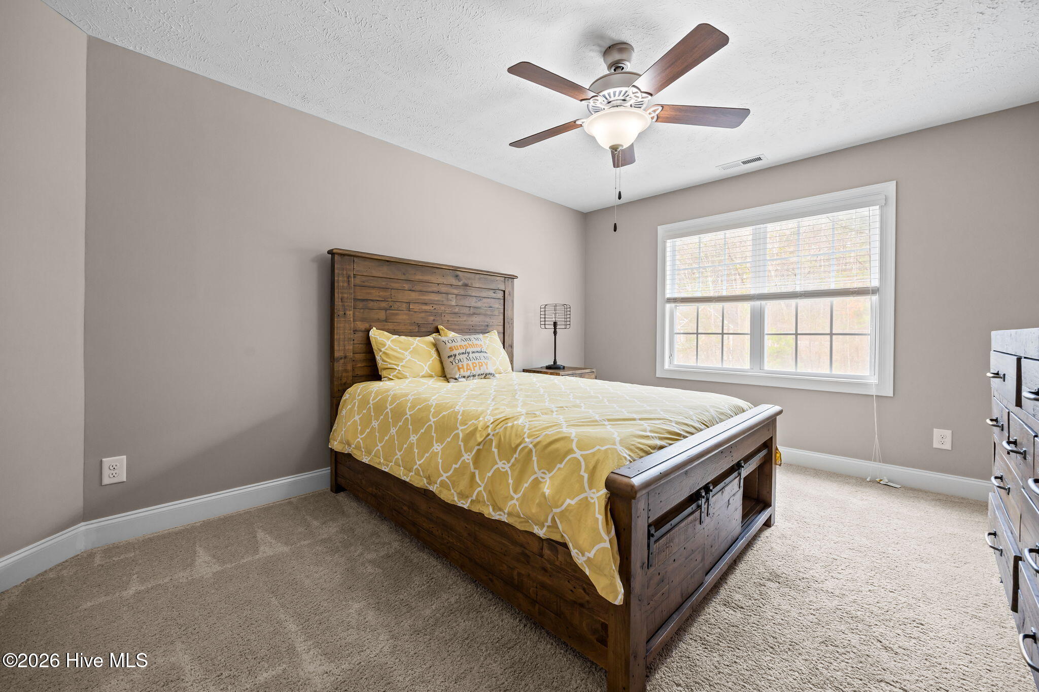 180 Dicks Hill Road Carthage, NC 28327 - Photo 30 of 49 38-web-or-mls-IMG_6900