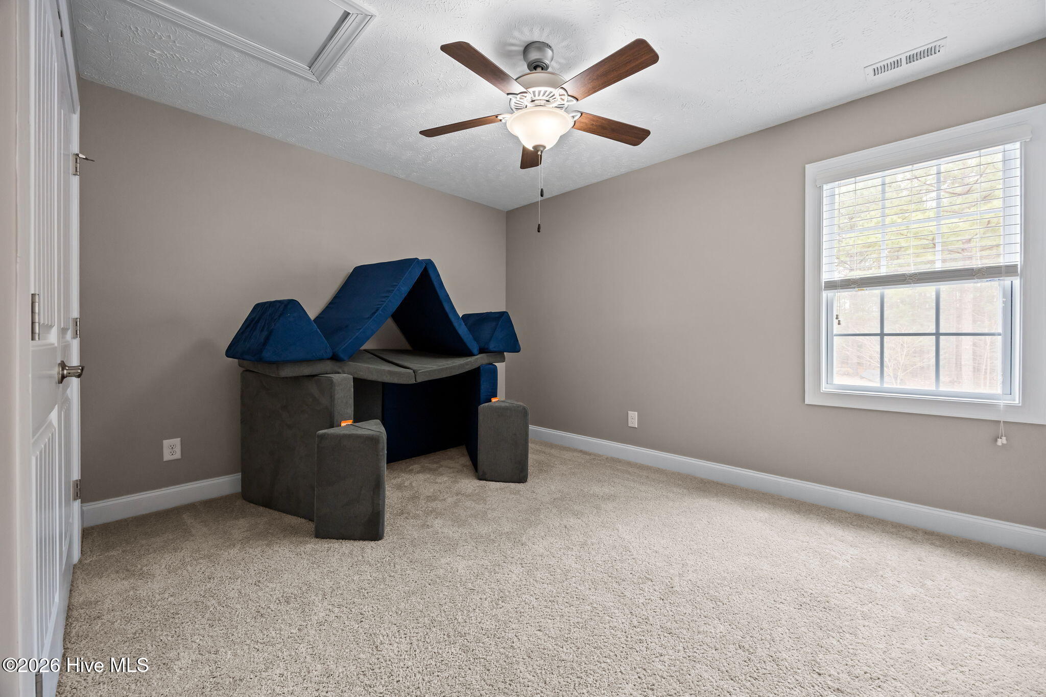 180 Dicks Hill Road Carthage, NC 28327 - Photo 31 of 49 37-web-or-mls-IMG_6888