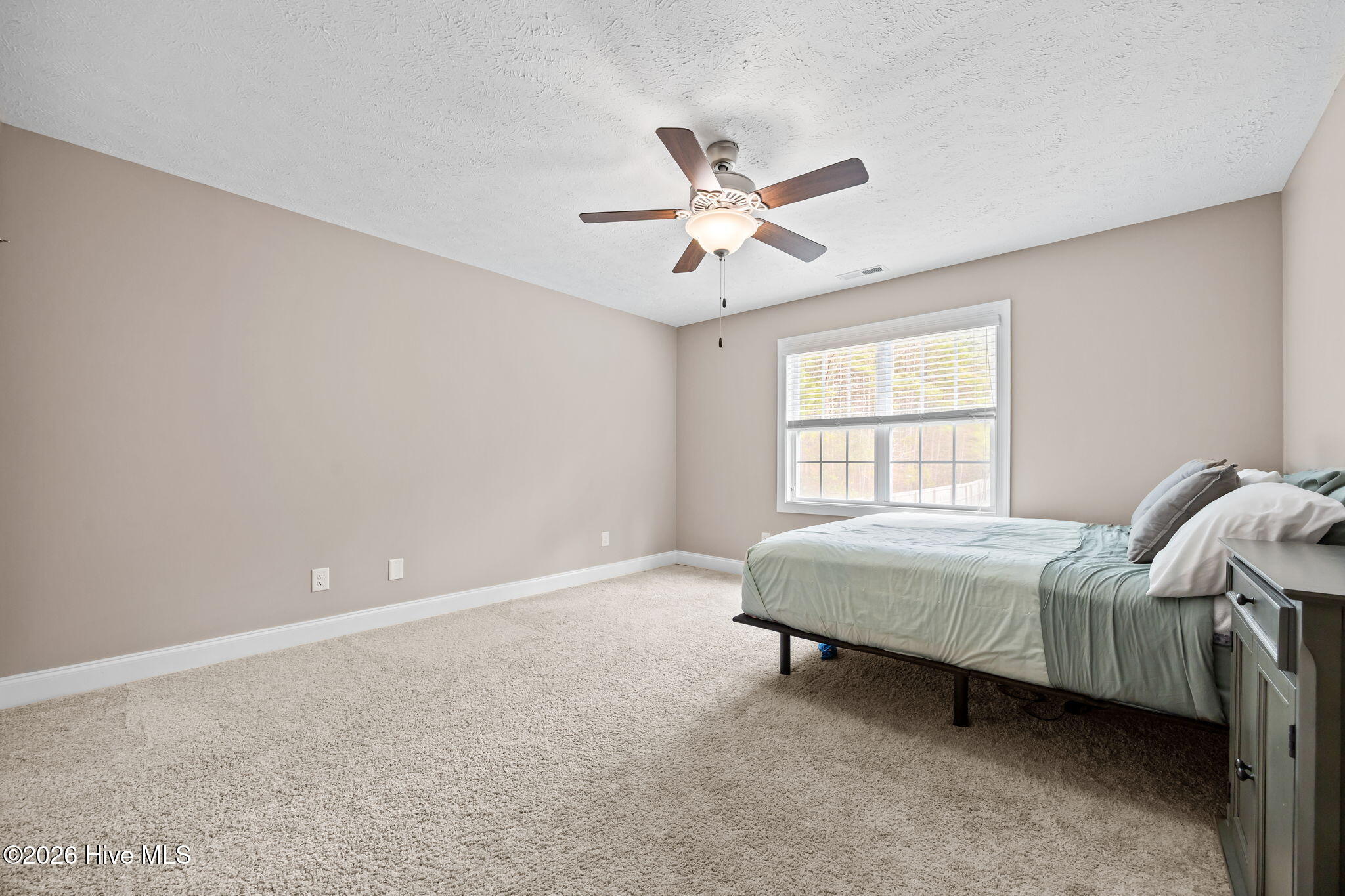 180 Dicks Hill Road Carthage, NC 28327 - Photo 33 of 49 40-web-or-mls-IMG_6912