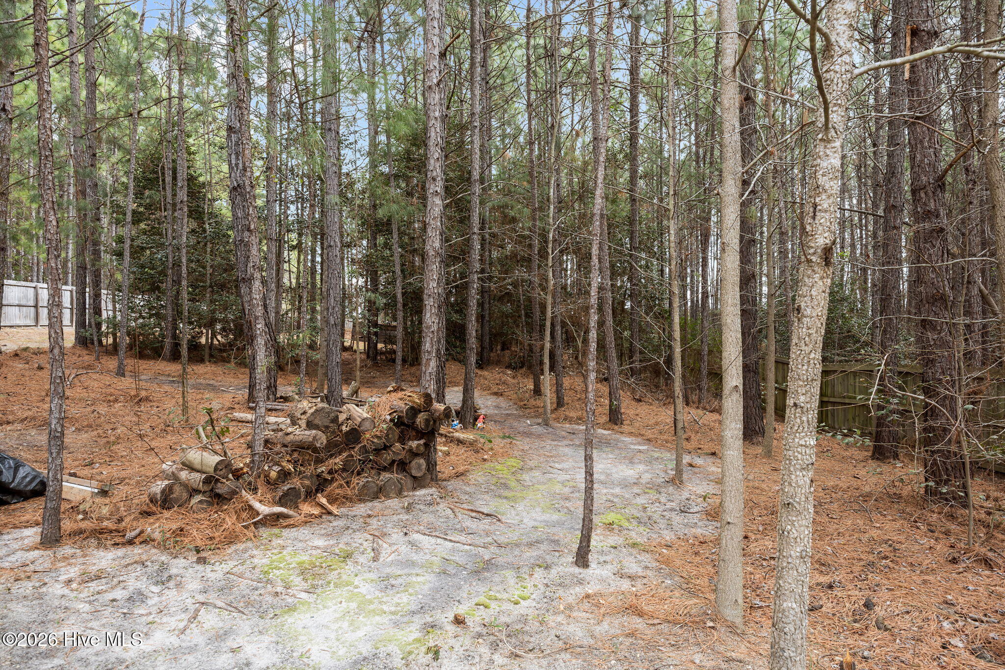 180 Dicks Hill Road Carthage, NC 28327 - Photo 42 of 49 48-web-or-mls-IMG_6932