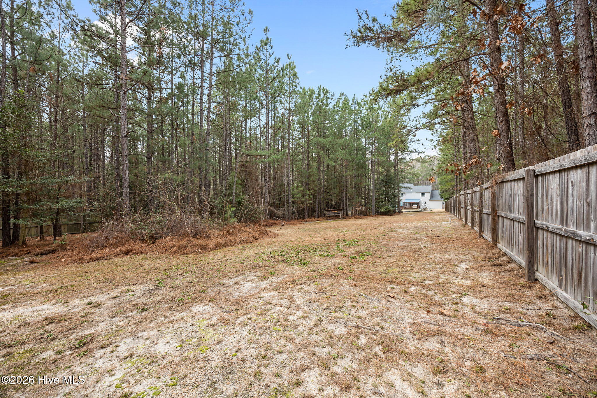 180 Dicks Hill Road Carthage, NC 28327 - Photo 43 of 49 50-web-or-mls-IMG_6936