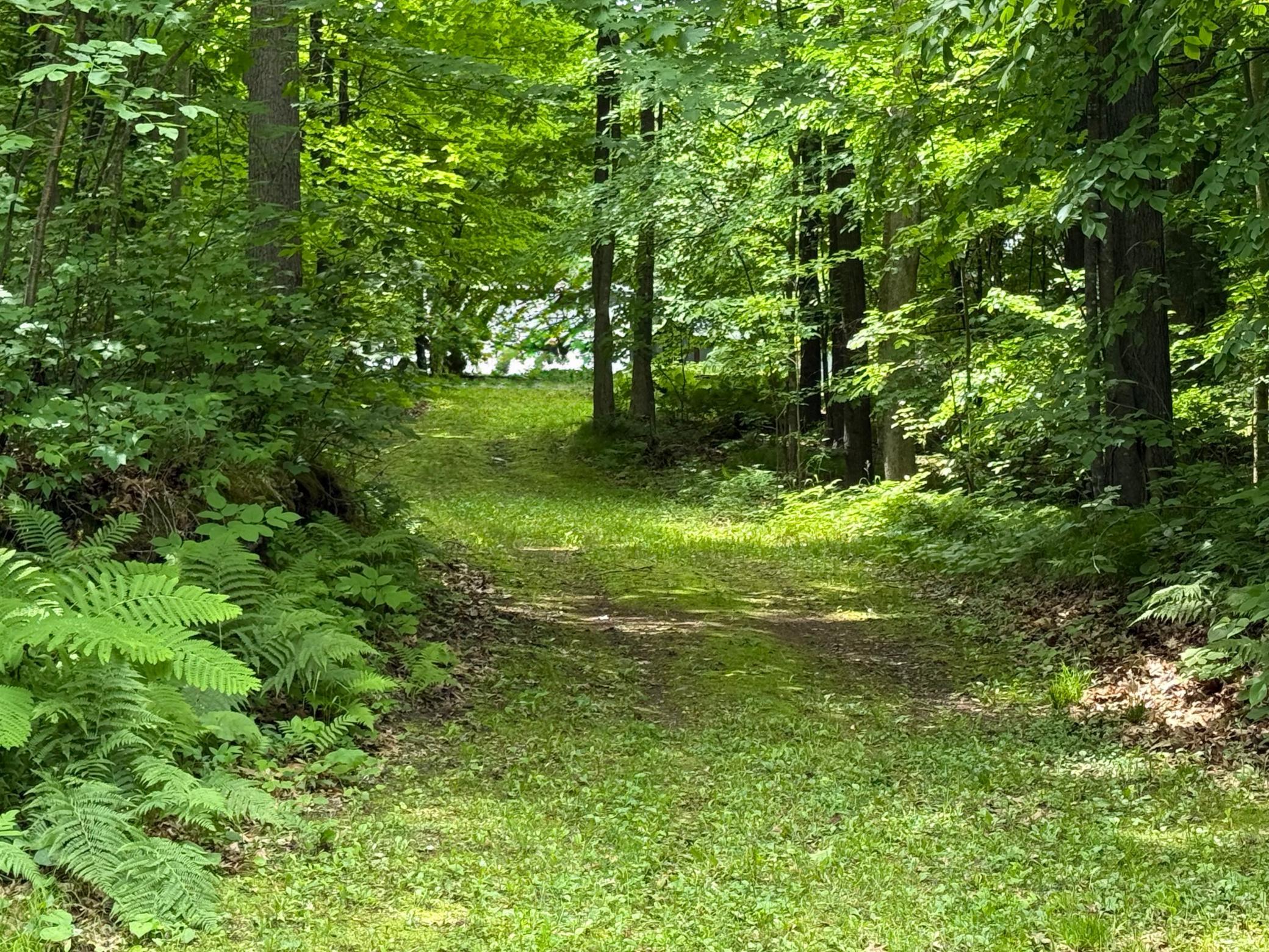 N1785 Leaman Lake Road Shell Lake, WI 54871 - Photo 62 of 63