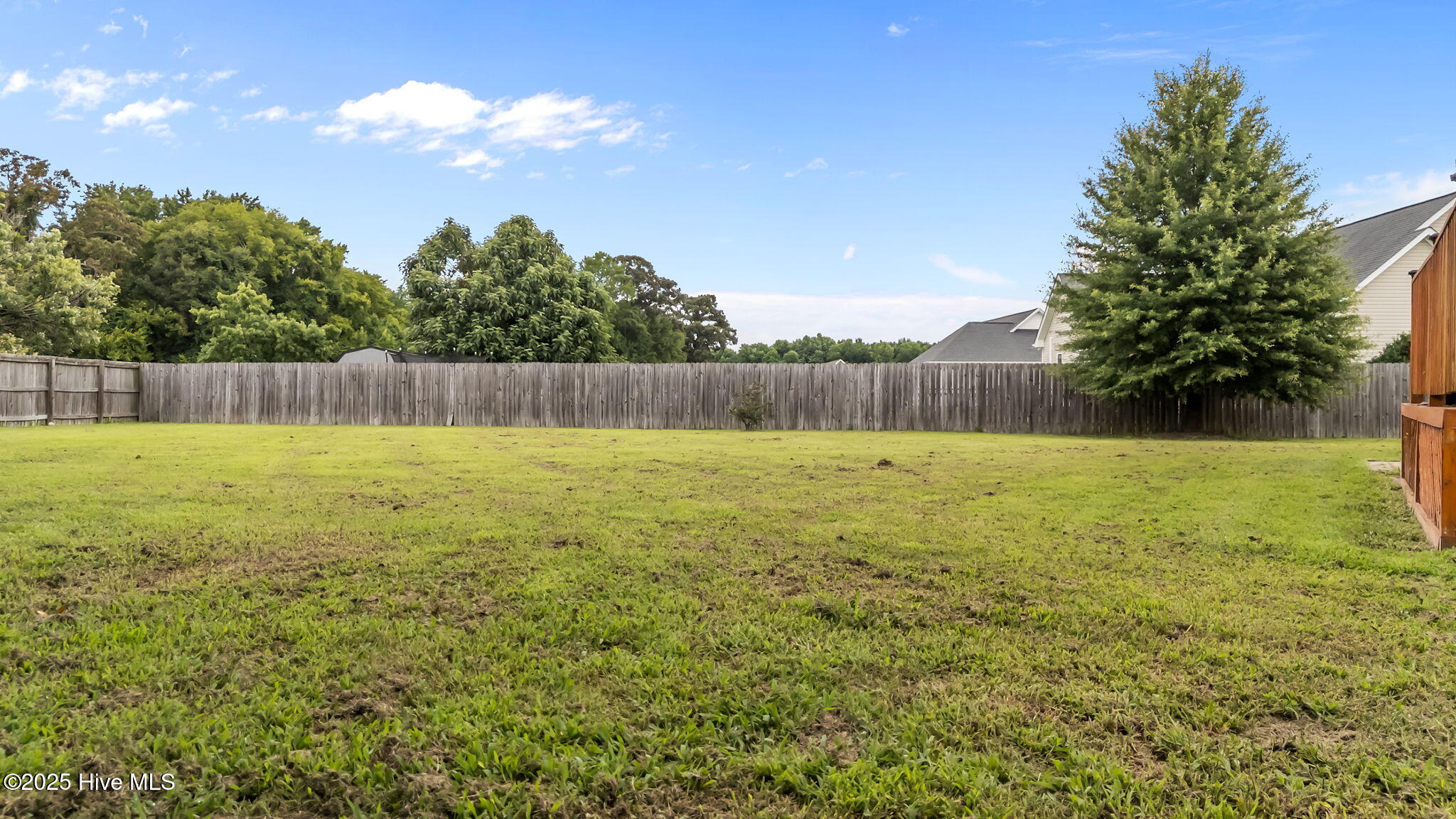 203 Willowbrook Drive Pikeville, NC 27863 - Photo 11 of 42 11-web-or-mls-DJI_20250715103910_0286_D