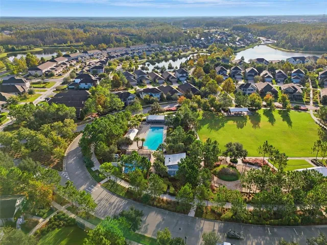 a view of a yard with plants