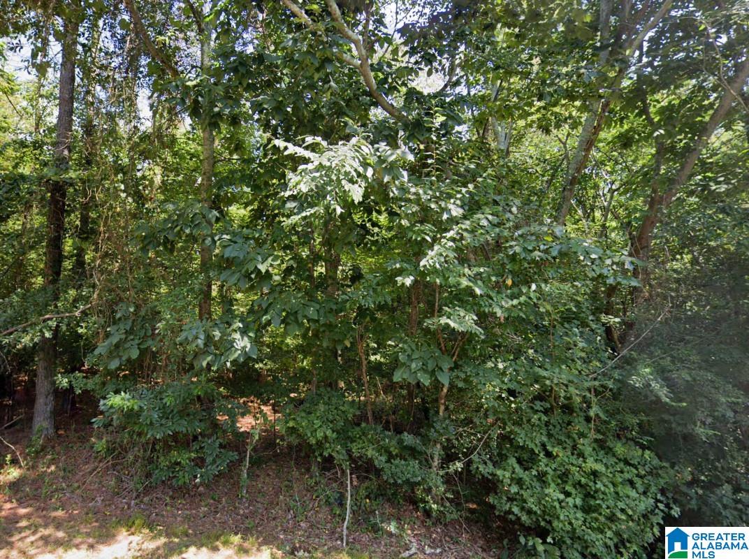 Highland Street Gadsden, AL 35905 - Photo 2 of 8