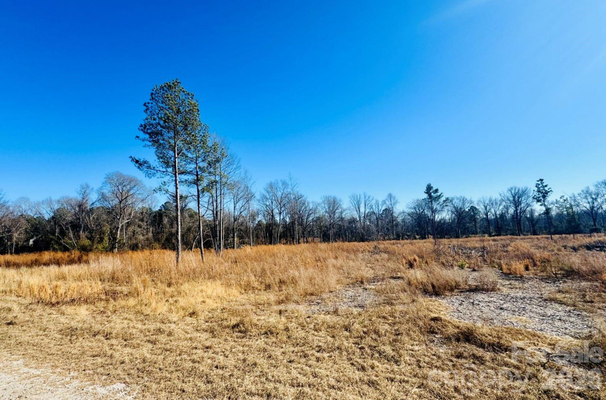 0 Woodbine Road Cheraw, SC 29520 - Photo 2 of 9 a view of outdoor space and trees