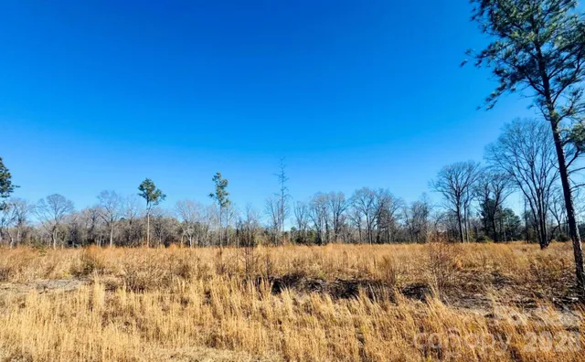 $36,900 | 0 Woodbine Road, Cheraw, SC 29520